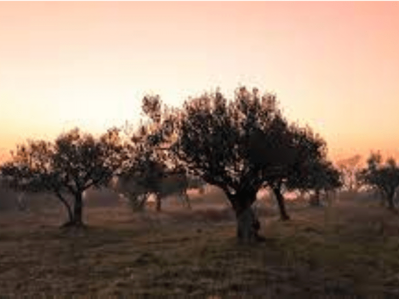 Weekly Reflection – 30th April&nbsp;2021